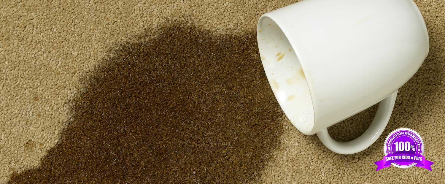 Do You Have Tough Stains & Odors