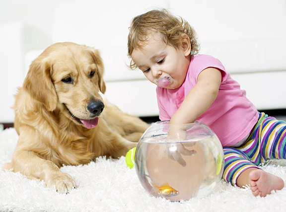 Dog, Baby, and Fish on Carpet