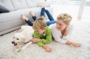 carpet and rug cleaning