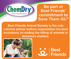 Chem-SaveThemAll_Web-300x250