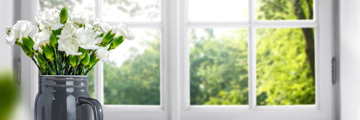 Carpet Cleaning Greenwood IN ChemDry of Indianapolis 3173533730