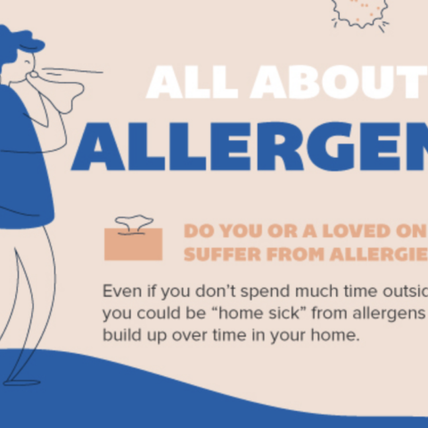 All About Allergens in Your Home