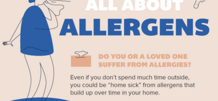 allergy proof All About Allergens in Your Home