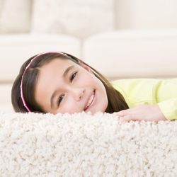 chem-dry Chem-Dry Carpet Cleaning
