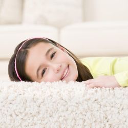 Chem-Dry Carpet Cleaning